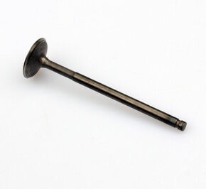 Suzuki Bandit Engine Valve