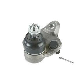 JOINT ASSY, LWR