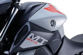 Yamaha MT-15 Middle Part Tank Indian